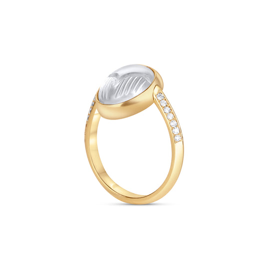 Reversible Beetle Ring